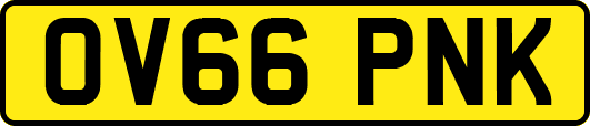 OV66PNK