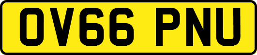 OV66PNU