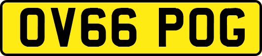 OV66POG