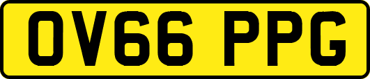 OV66PPG