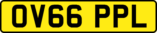OV66PPL