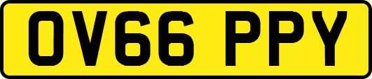 OV66PPY