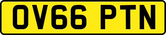 OV66PTN