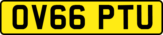OV66PTU