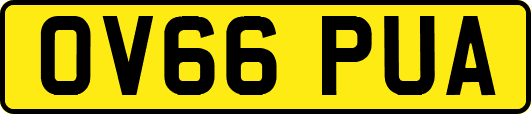 OV66PUA
