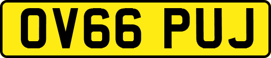OV66PUJ