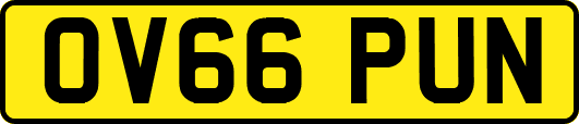 OV66PUN