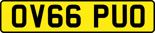 OV66PUO