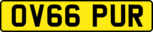 OV66PUR