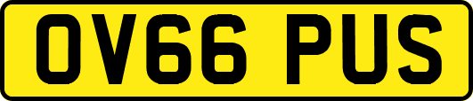 OV66PUS