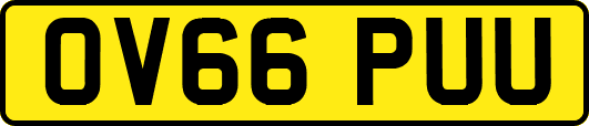 OV66PUU
