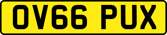 OV66PUX