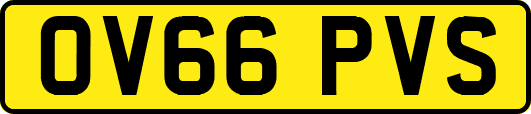 OV66PVS