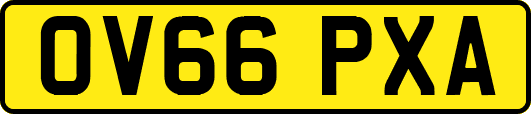 OV66PXA