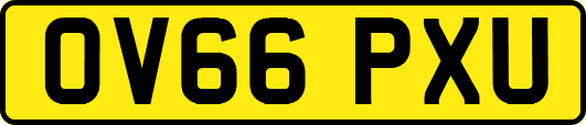 OV66PXU