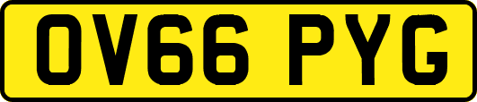 OV66PYG