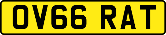 OV66RAT