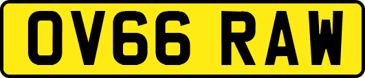 OV66RAW