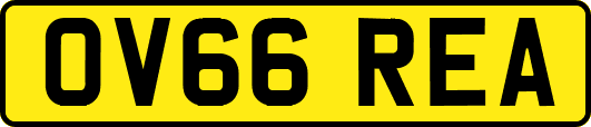 OV66REA