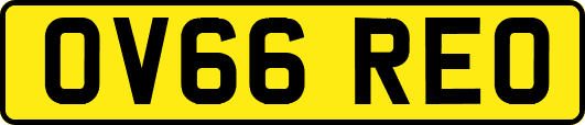 OV66REO
