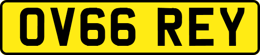 OV66REY