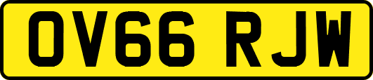 OV66RJW