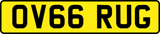 OV66RUG