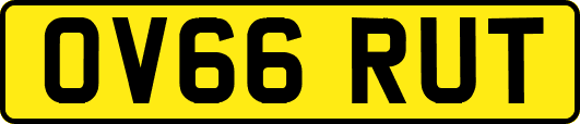 OV66RUT