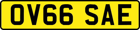 OV66SAE