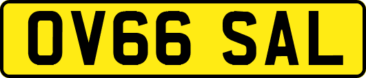 OV66SAL