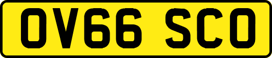 OV66SCO