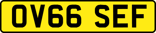 OV66SEF