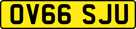 OV66SJU