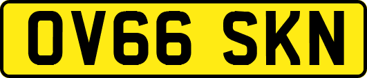 OV66SKN