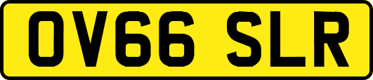 OV66SLR