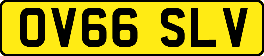 OV66SLV