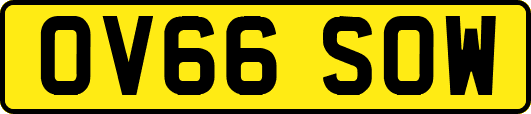 OV66SOW