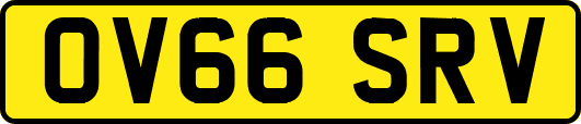 OV66SRV