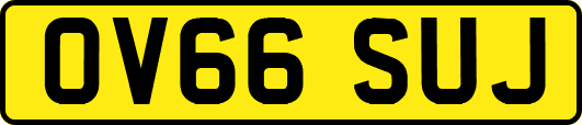 OV66SUJ