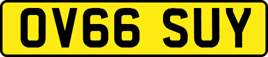 OV66SUY