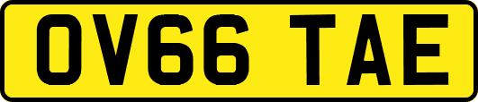 OV66TAE