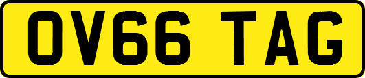 OV66TAG