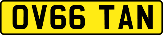 OV66TAN