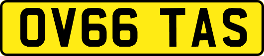 OV66TAS