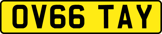OV66TAY