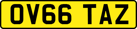 OV66TAZ