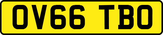 OV66TBO