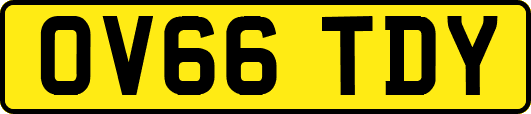 OV66TDY