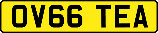 OV66TEA