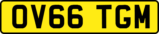 OV66TGM